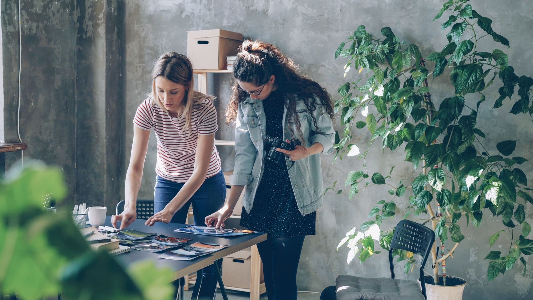 Two designers reviewing printed photographs together at a table in a bright studio with a large plant